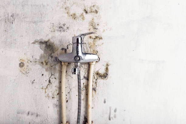 Best Best Mold Removal Companies  in Oak Creek, WI