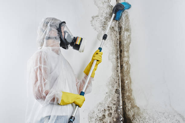 Oak Creek, WI Mold Removal Company