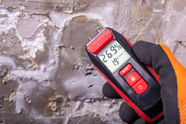 Best Toxic Mold Removal  in Oak Creek, WI
