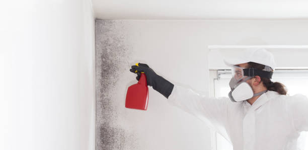 Best Commercial Mold Removal  in Oak Creek, WI