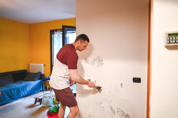 Best Professional Mold Removal  in Oak Creek, WI