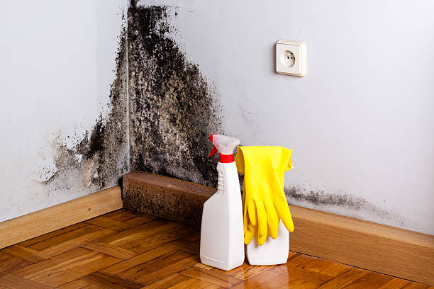 Best Mold Testing  in Oak Creek, WI