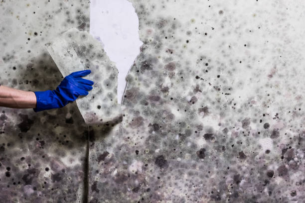 Best Water Damage Restoration  in Oak Creek, WI